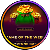 fortune-bags-icon
